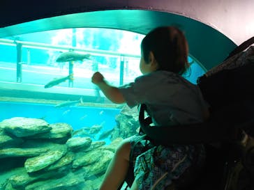 滋賀県立琵琶湖博物館に投稿された画像（2024/10/10）