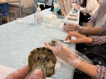 越前松島水族館に投稿された画像（2024/10/10）