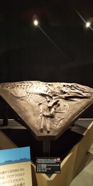 福井県立恐竜博物館に投稿された画像（2024/10/10）