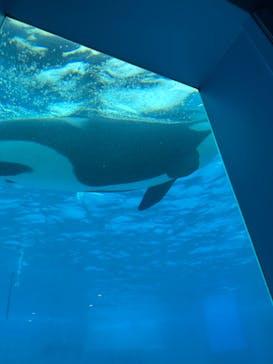 鴨川シーワールドに投稿された画像（2024/10/10）