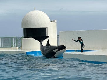 鴨川シーワールドに投稿された画像（2024/10/10）