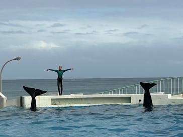 鴨川シーワールドに投稿された画像（2024/10/10）