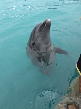 もとぶ元気村に投稿された画像（2024/10/10）