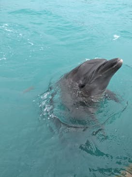 もとぶ元気村に投稿された画像（2024/10/10）