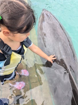 もとぶ元気村に投稿された画像（2024/10/10）