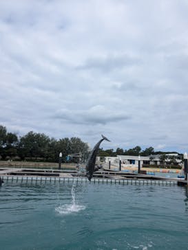 もとぶ元気村に投稿された画像（2024/10/10）