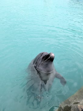 もとぶ元気村に投稿された画像（2024/10/10）