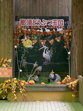 那須どうぶつ王国に投稿された画像（2024/10/10）