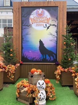 那須どうぶつ王国に投稿された画像（2024/10/10）