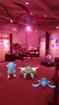 岐阜県博物館に投稿された画像（2024/10/10）