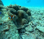 マリンクラブジジに投稿された画像（2024/10/10）