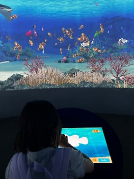 鴨川シーワールドに投稿された画像（2024/10/10）