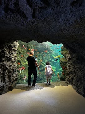 鴨川シーワールドに投稿された画像（2024/10/10）