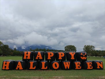 小岩井農場まきば園に投稿された画像（2024/10/10）