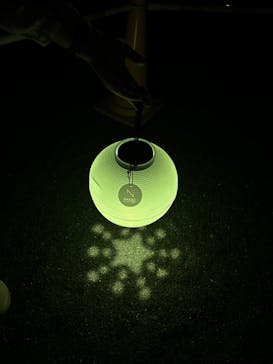 NAKED光の西本願寺2024 秋の特別公開に投稿された画像（2024/10/10）