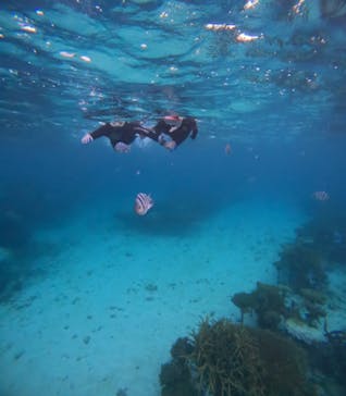 青の洞窟専門店　沖縄ダイビングショップ和に投稿された画像（2024/10/9）