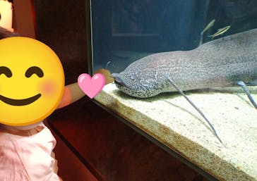 カワスイ 川崎⽔族館に投稿された画像（2024/7/14）