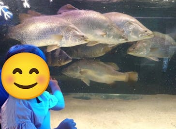 カワスイ 川崎⽔族館に投稿された画像（2024/7/14）