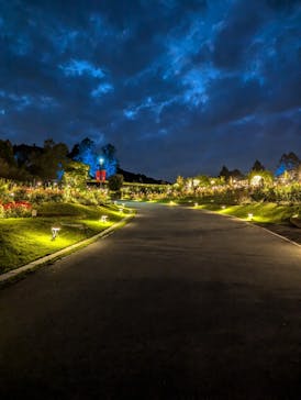 いばらきフラワーパークに投稿された画像（2024/10/10）