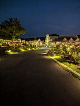 いばらきフラワーパークに投稿された画像（2024/10/10）