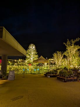 いばらきフラワーパークに投稿された画像（2024/10/10）