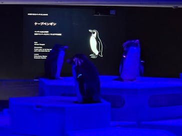 AOAO SAPPOROに投稿された画像（2024/10/10）