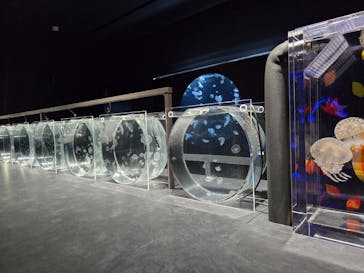 AOAO SAPPOROに投稿された画像（2024/10/10）