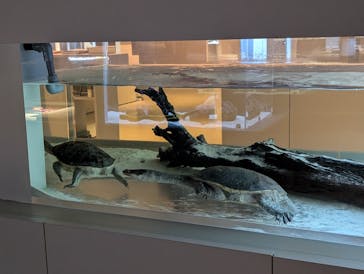 AOAO SAPPOROに投稿された画像（2024/10/10）