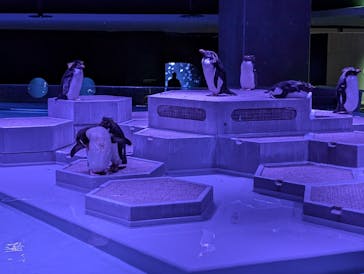 AOAO SAPPOROに投稿された画像（2024/10/10）