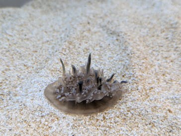 AOAO SAPPOROに投稿された画像（2024/10/10）