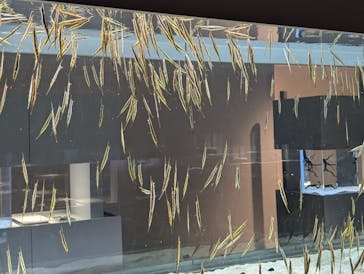 AOAO SAPPOROに投稿された画像（2024/10/10）