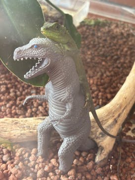 おきなわワールドに投稿された画像（2024/10/10）