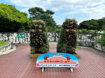 おきなわワールドに投稿された画像（2024/10/10）