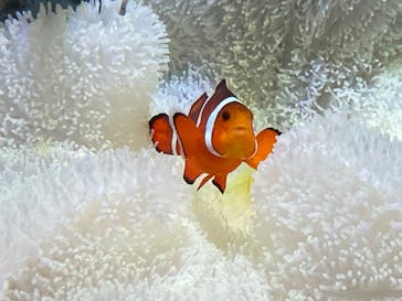 名古屋港水族館に投稿された画像（2024/10/10）