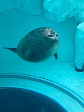 名古屋港水族館に投稿された画像（2024/10/10）