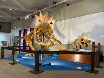 岐阜県博物館に投稿された画像（2024/10/10）