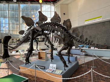 岐阜県博物館に投稿された画像（2024/10/10）