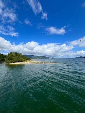 天橋立ケーブルカーに投稿された画像（2024/10/10）