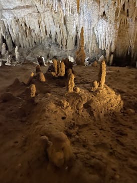 おきなわワールドに投稿された画像（2024/10/10）