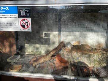 おきなわワールドに投稿された画像（2024/10/10）