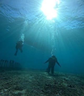 青の洞窟専門店　沖縄ダイビングショップ和に投稿された画像（2024/10/11）