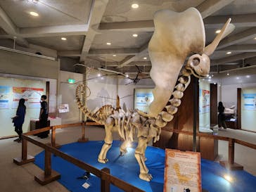 岐阜県博物館に投稿された画像（2024/10/11）