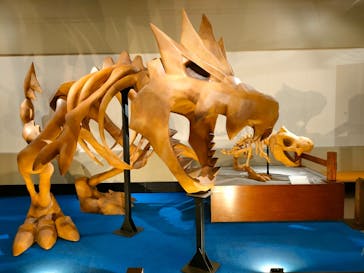 岐阜県博物館に投稿された画像（2024/10/11）