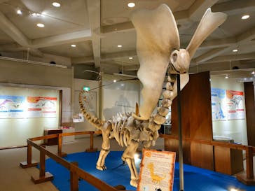 岐阜県博物館に投稿された画像（2024/10/11）