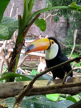 那須どうぶつ王国に投稿された画像（2024/10/11）