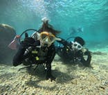 沖縄マリンサービス碧に投稿された画像（2024/10/11）