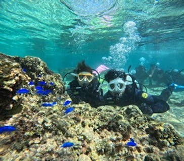 沖縄マリンサービス碧に投稿された画像（2024/10/11）