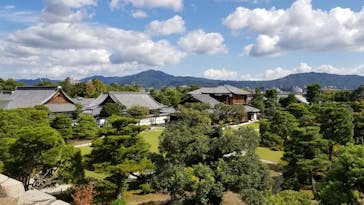 元離宮二条城に投稿された画像（2024/10/11）