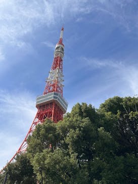東京タワーに投稿された画像（2024/10/11）