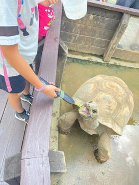 世界淡水魚園水族館　アクア・トトぎふに投稿された画像（2024/10/11）